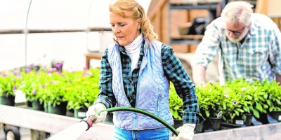 Gartenfreuden: Nach dem Säen ist eine regelmäßige Befeuchtung sehr wichtig. (Foto: Pexels)