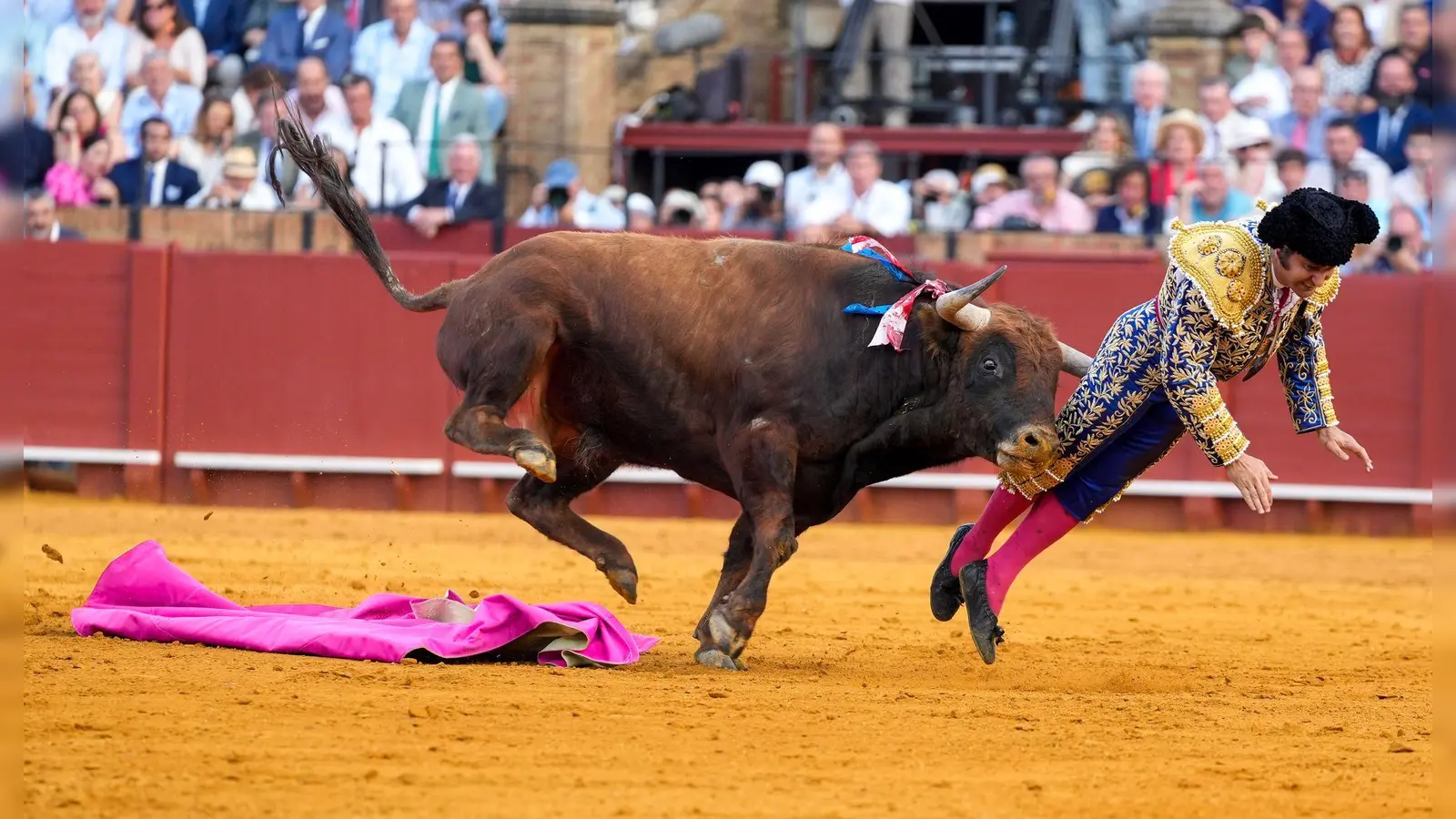 Der mehr als 500 Kilogramm schwere Bulle Clandestino spießte den Star-Torero von hinten auf. (Foto: Joaquín Corchero/EUROPA PRESS/dpa)