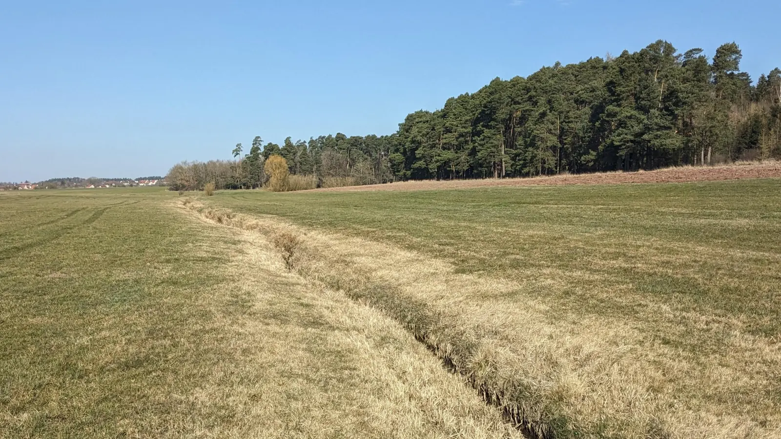 So sieht der Strüthfeldgraben aktuell aus. Durch die Aufweitung zu einem Bach will die Gemeinde künftig sowohl dem Natur- als auch dem Hochwasserschutz stärker gerecht werden. (Foto: Uli Meßlinger)