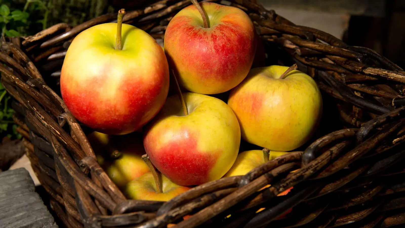 Äpfel lagern besser nicht neben anderem Obst - sie sondern ein Gas ab, durch das Früchte in ihrer Nähe schneller verderben. (Foto: Franziska Gabbert/dpa-tmn)