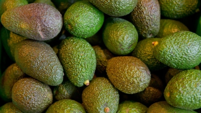 Strenge Regeln: Für Früchte wie Avocados und Mangos müssen die ausführenden Staaten ein Pflanzengesundheitszeugnis ausstellen. (Foto: Daniel Karmann/dpa)