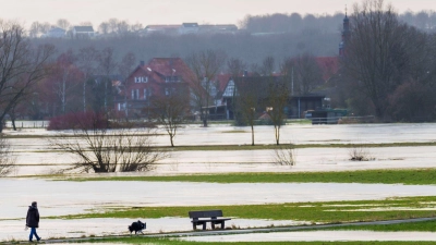 Der Bund fördert das Projekt mit 4,13 Millionen Euro. (Symbolbild) (Foto: Andreas Arnold/dpa)