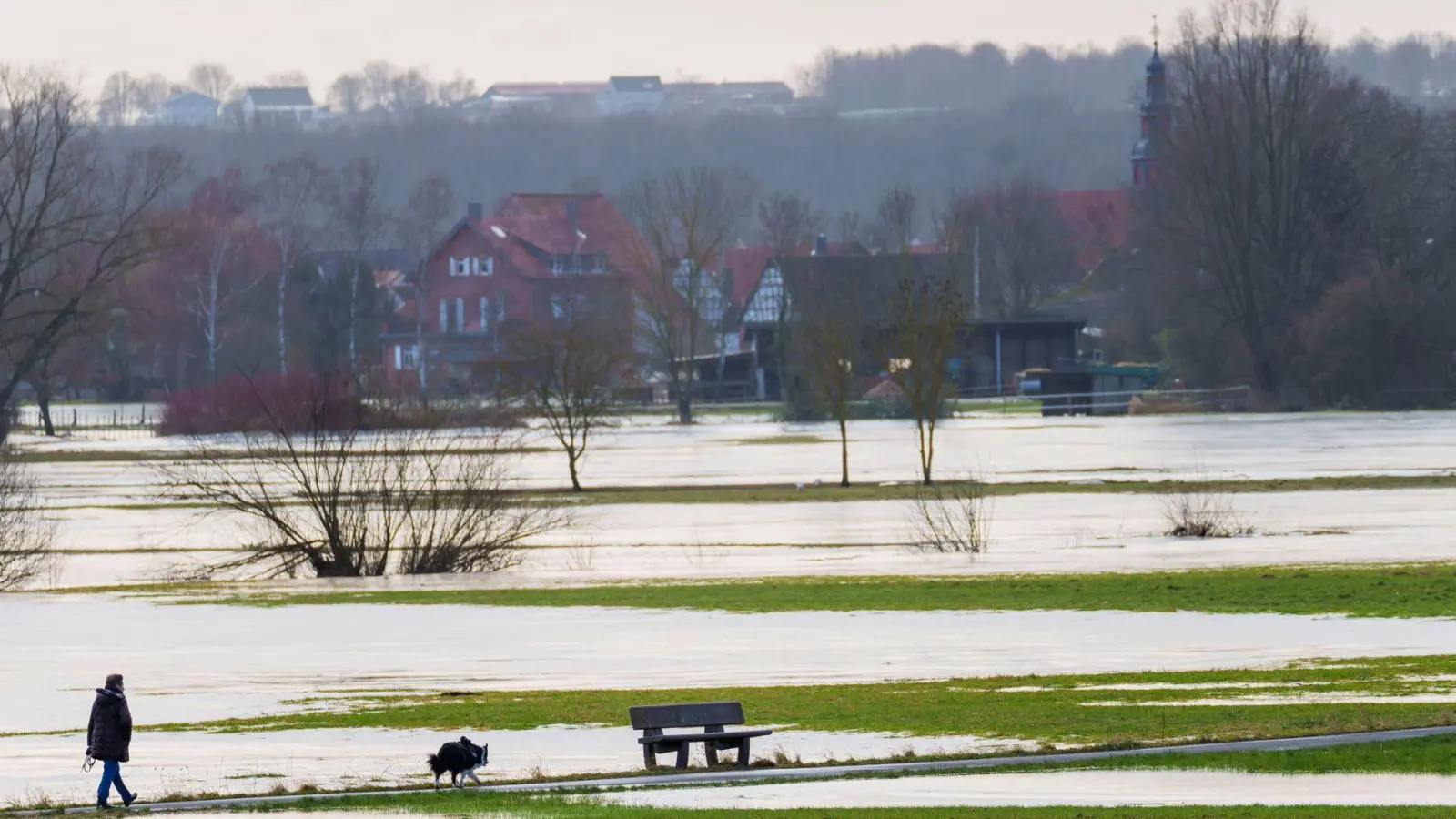 Der Bund fördert das Projekt mit 4,13 Millionen Euro. (Symbolbild) (Foto: Andreas Arnold/dpa)