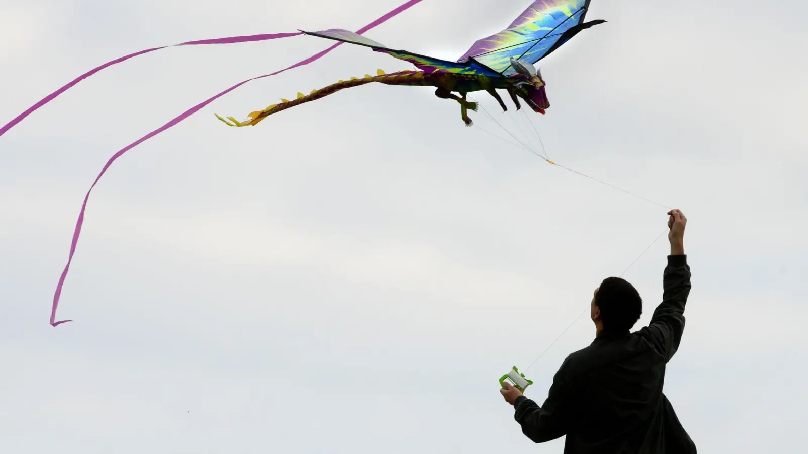 Drachen steigen zu lassen, soll eigentlich Spaß machen. Doch stürzt der Drachen ab und verletzt jemanden, hört der Spaß schnell auf - besonders, wenn die Privathaftpflicht nicht greift. (Foto: Franziska Gabbert/dpa-tmn)