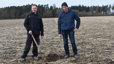 Werner Winnerlein (rechts) und Sohn Lukas betreiben zusammen einen Milchviehbetrieb nebst Ackerbau in der Gemeinde Neuhof (Straußmühle). Auf unserem Foto stehen sie auf einem ihrer Äcker, auf dem die Zwischenfrucht Mitte November abgewalzt worden war. Im Mai wird auf dem Areal dann Mais gesät. (Foto: Ute Niephaus)