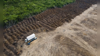 Durch das Gesetz soll die Abholzung des Regenwaldes etwa im Amazonas deutlich reduziert werden. (Symbolbild) (Foto: Fernando Souza/ZUMA Press Wire/dpa)