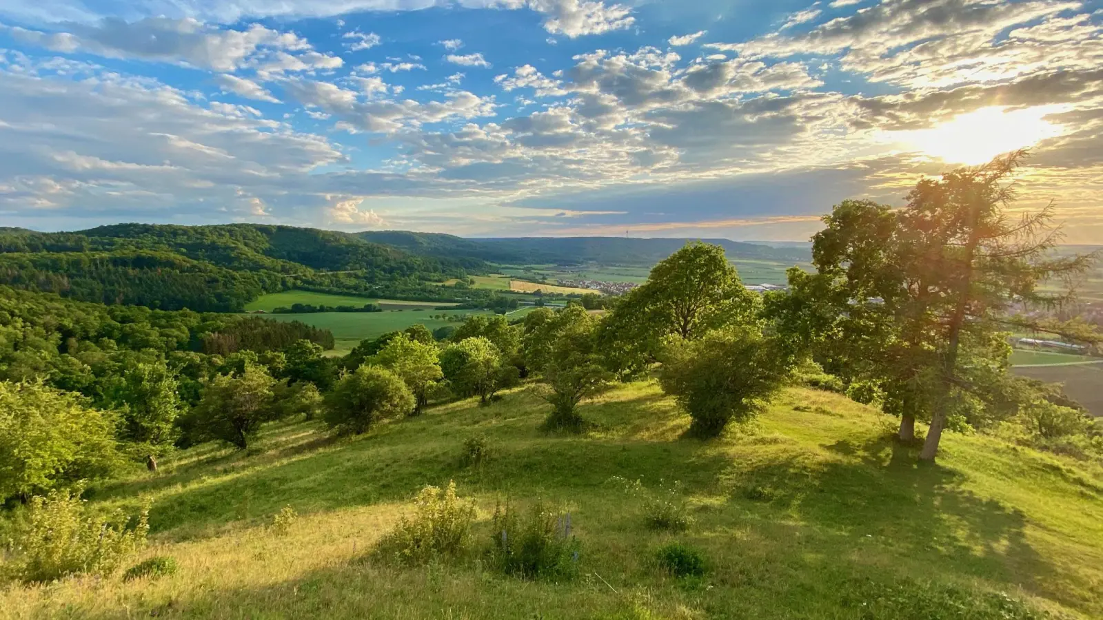 Auf dem rund 500 Meter hohen Gipfel des Petersbergs, liegen Wanderern das Aischtal und der Steigerwald zu Füßen.  (Foto: Manfred Blendinger)