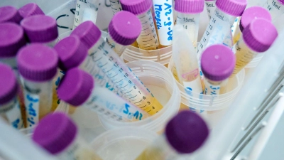 MnHexP ist ein Abbauprodukt des Weichmachers Di-n-hexylphthalat (DnHexP), der als fortpflanzungsschädigend gilt. (Symbolbild) (Foto: Bernd Thissen/dpa)