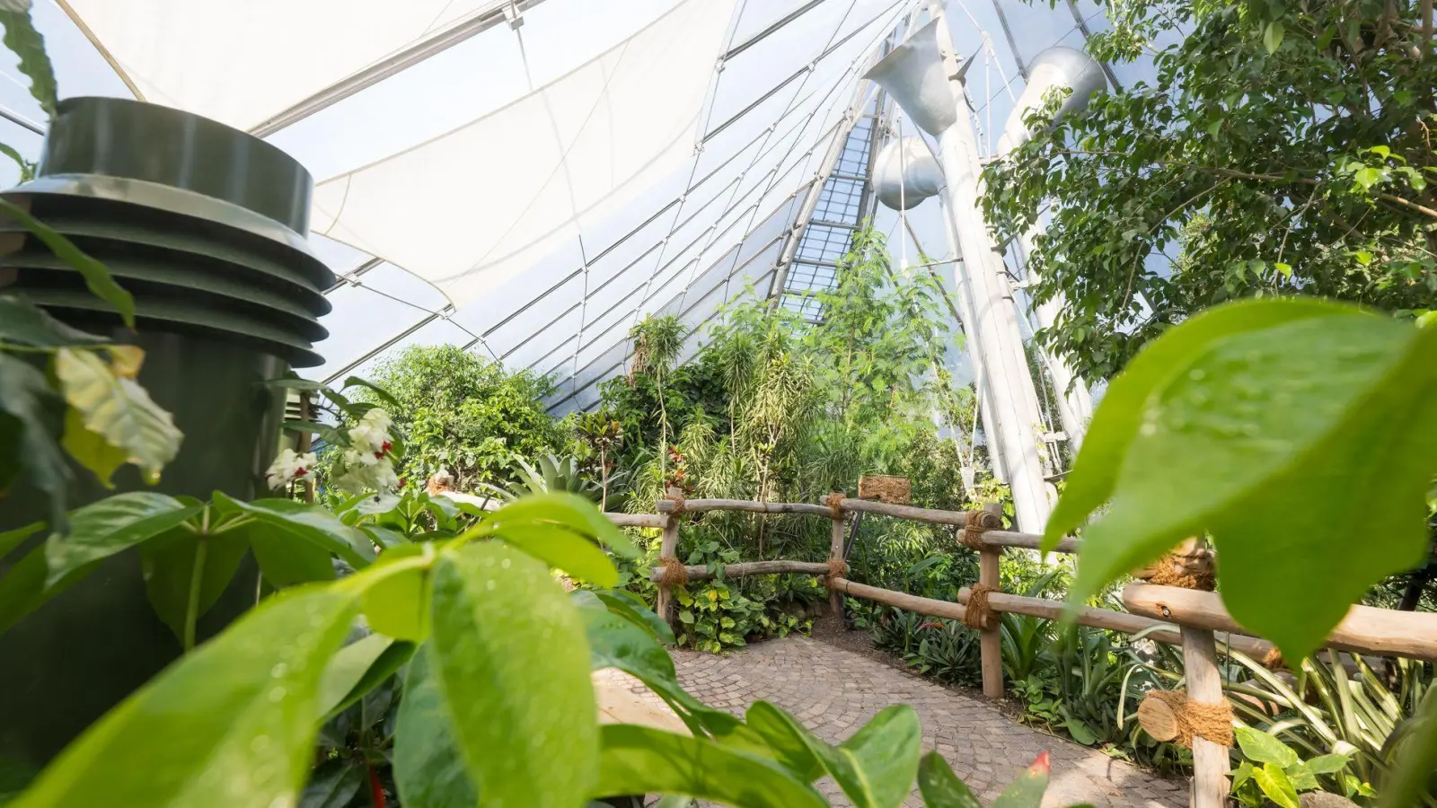 Der Umbau hat nach Angaben des Tierparks etwa 11 Millionen Euro gekostet. (Foto: Tobias Hase/dpa)