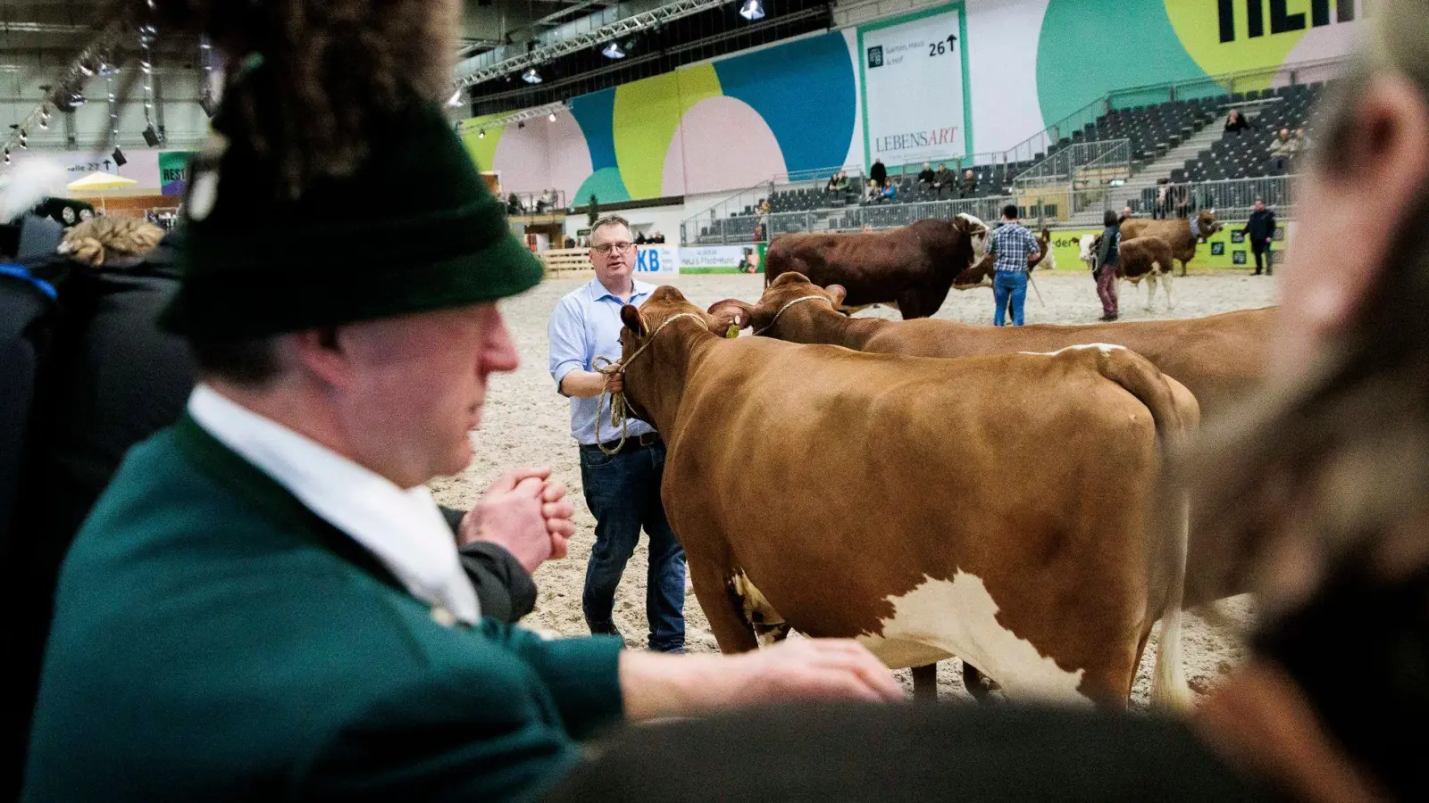 Paarhufer wie Rinder, Schweine, Schafe oder Alpakas wird es auf der Grünen Woche in diesem Jahr nicht zu sehen geben. (Archivbild) (Foto: Carsten Koall/dpa)