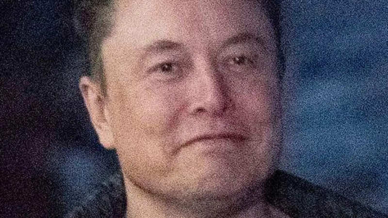 Die Rolle von Elon Musk in der US-Regierung wirft viele Fragen auf. (Archivbild) (Foto: Jose Luis Magana/AP/dpa)