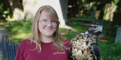 Dem Kordillerenadler-Weibchen Simba ist bei seinem unfreiwilligen Abenteuer nichts passiert. Luka Hellmann vom Team des Greifvogel- und Eulenparks „Wilder Wald“, das den Fürstlichen Falkenhof in Schloss Schillingsfürst seit 2022 betreibt, hat dem Tier fürs Erste aber eine Show-Pause verordnet. (Foto: Jürgen Binder)