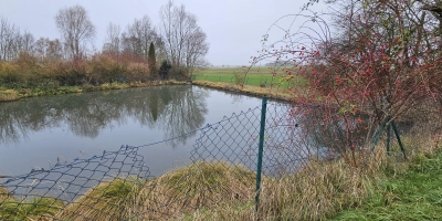 Entspricht nicht mehr den Vorgaben: Der Löschteich im Leutershäuser Stadtteil Mittelramstadt. Der Damm zum Bach hin wurde vom Biber in Mitleidenschaft gezogen. (Foto: Wolfgang Grebenhof)