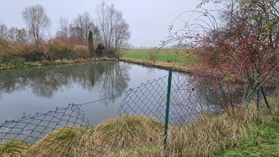 Entspricht nicht mehr den Vorgaben: Der Löschteich im Leutershäuser Stadtteil Mittelramstadt. Der Damm zum Bach hin wurde vom Biber in Mitleidenschaft gezogen. (Foto: Wolfgang Grebenhof)