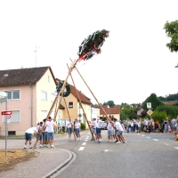 Das Aufstellen des schmucken „Kärwabaums” ist wieder ein Höhepunkt der Festtage. (Foto: Alexander Biernoth)