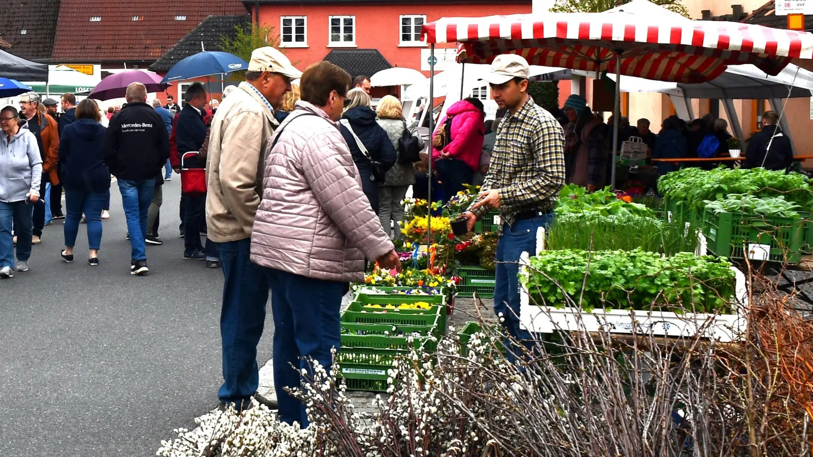 Besuchen Sie den Markt am Sonntag. Es lohnt sich! (Foto: Gudrun Schwarz-Köhler)