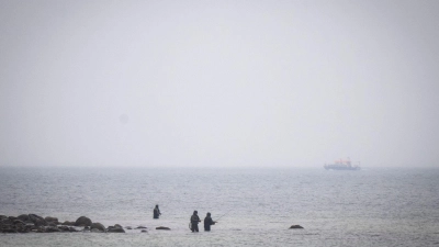 Das Boot „Uecker“ von der Wasserschutzpolizei sucht den Wal an der Ostseeküste.  (Foto: Philip Dulian/dpa)