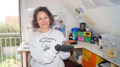 Pamela Nieschler hat bei sich zu Hause eine Igel-Auffangstation eingerichtet und den Stachelritter-Verein gegründet. (Foto: Nicole Gunkel)