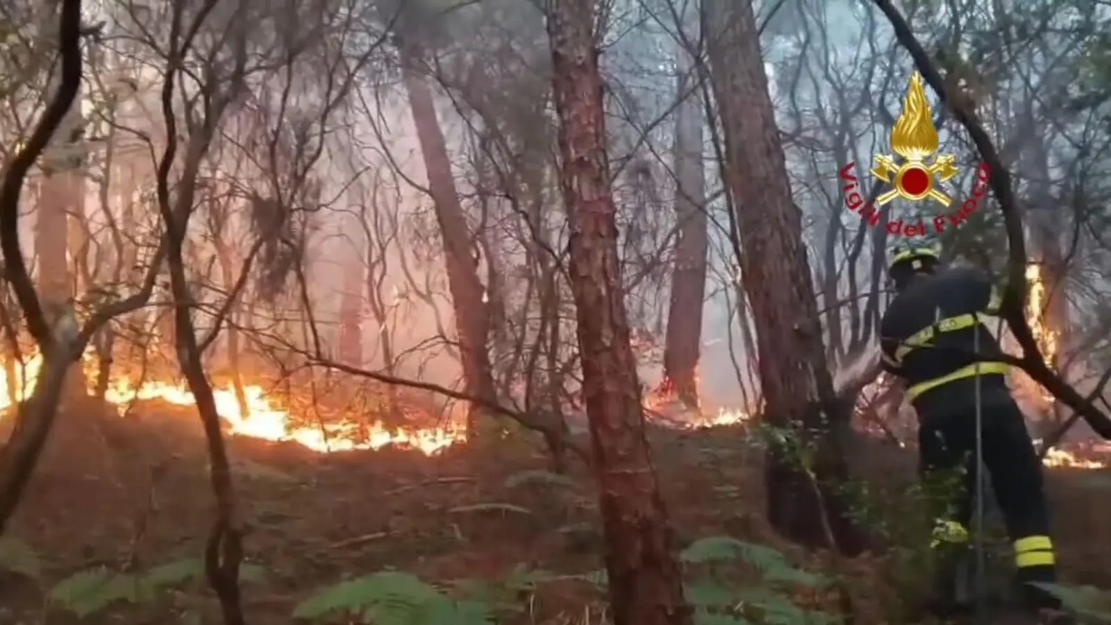 Wegen des Waldbrands mussten mehr als 3.500 Menschen ihre Häuser verlassen. (Foto: -/Vigili del Fuoco/dpa)