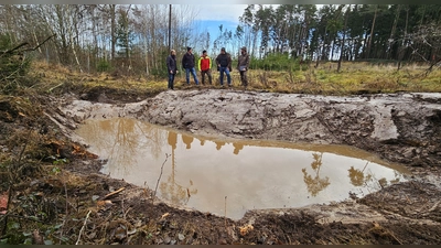An 25 Standorten im Rechtlerwald bei Brunst und Eckartsweiler entstanden innerhalb einer Woche mehr als drei Dutzend neuer Tümpel in verschiedenen Größen. Naturpark-Ranger Wolfgang Wenk, Klimaschutzbeauftragter Gerald Ulrich sowie die beiden Waldführer Gerhard Schönknecht und Andreas Ebert (von rechts) erläuterten Bürgermeister Markus Liebich den Fortgang der Arbeiten.  (Foto: Wolfgang Grebenhof)