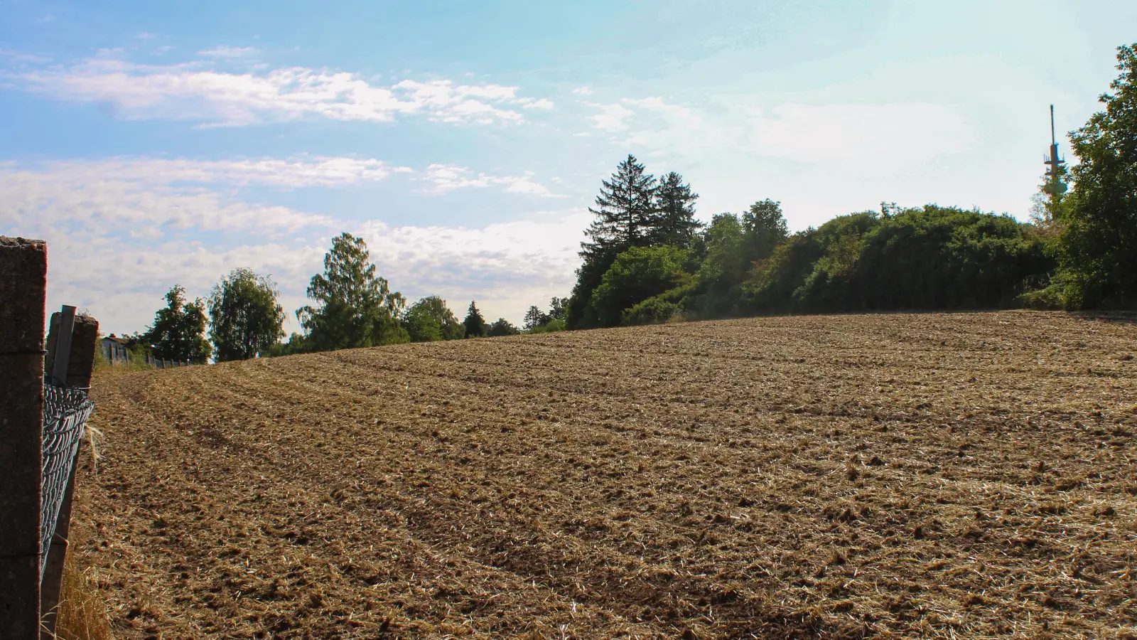 Für diese zum Wohnbau ausgeschriebene Fläche oberhalb der Dombachsiedlung hat ein Investor konkrete Pläne. Bebaut wird sie vermutlich trotzdem nicht. (Foto: Constantin Prosch)