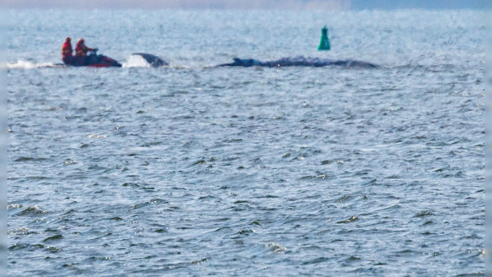 Mobilsierungsversuche gab es ab Mittag. (Foto: Jens Büttner/dpa)