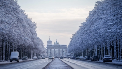 Verschneite Bäume glitzerten im Tiergarten. (Foto: Kay Nietfeld/dpa)