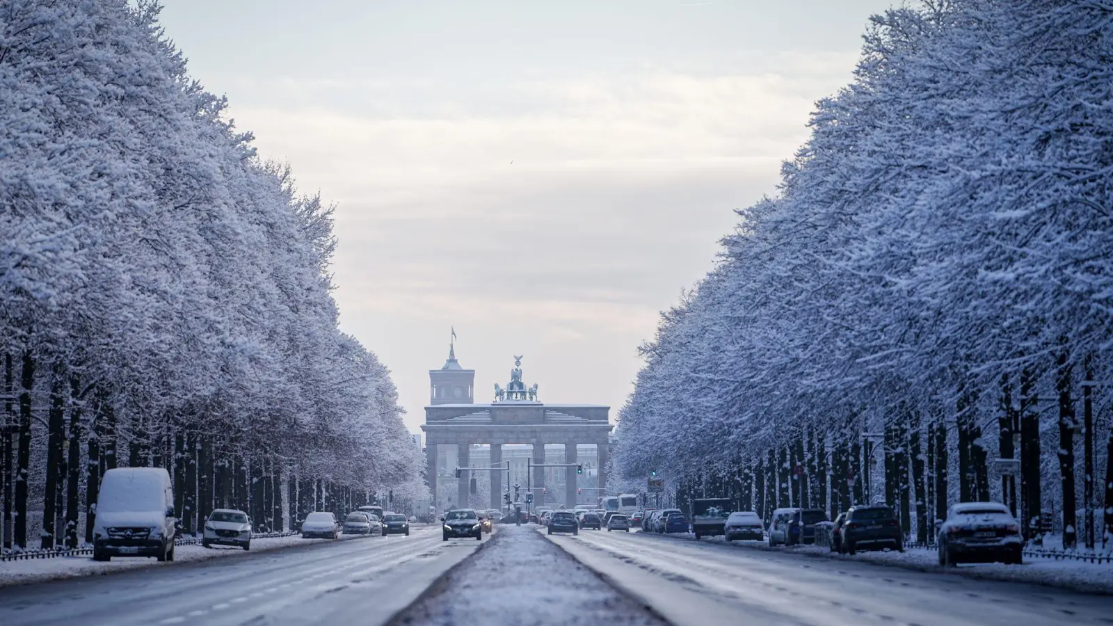 Verschneite Bäume glitzerten im Tiergarten. (Foto: Kay Nietfeld/dpa)