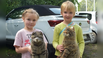 Da abzusehen war, dass es keine Wildkatzen auf der Exkursion zu sehen gibt, hatte Moni Nunn zwei Plüschtiere als Anschauungsobjekte mitgebracht, eine Haus- und eine Wildkatze. Die beiden Mädchen hielten sie nur allzu gern. (Foto: Ute Niephaus )