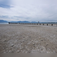 Nicht nur am Chiemsee herrscht derzeit Niedrigwasser.  (Foto: Sven Hoppe/dpa)