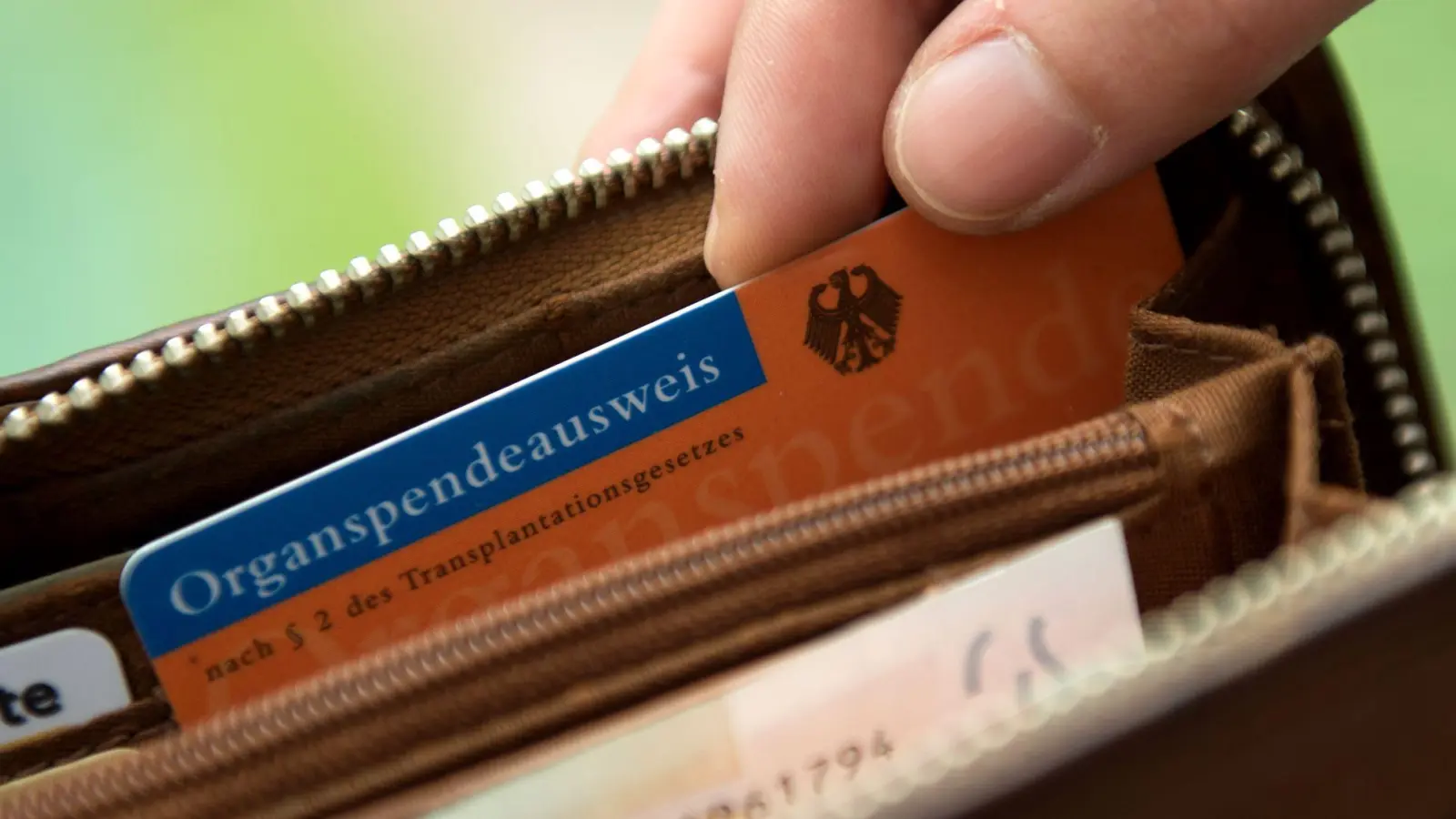 Der Organspendeausweis ist in Apotheken, Arztpraxen oder online als PDF erhältlich. (Foto: Andrea Warnecke/dpa-tmn)