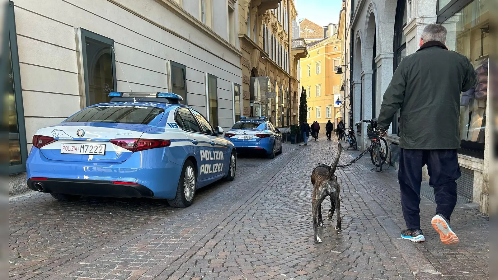 Südtirol verzichtet nun doch auf eine Art Hunde-Kurtaxe. (Archivbild) (Foto: Christoph Sator/dpa)