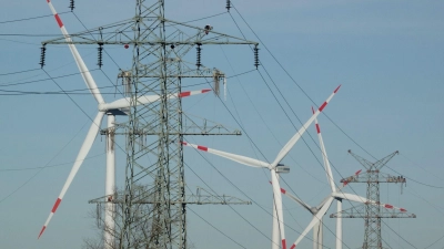 Deutschland erzeugt mehr als die Hälfte seiner Stromproduktion aus erneuerbaren Energien  (Foto: Carsten Rehder/dpa)