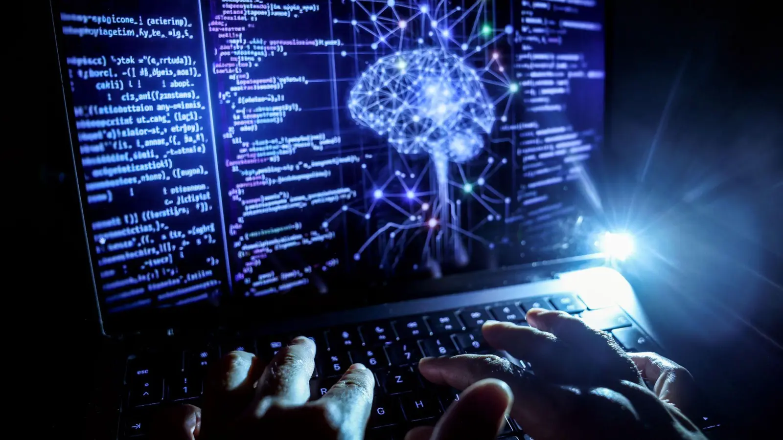 Deutschland steckt laut Deutscher Bank weniger als ein Prozent seiner Wirtschaftsleistung in Software, Schweden hingegen rund vier Prozent. (Symbolbild) (Foto: Oliver Berg/dpa)