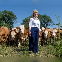 Antje Haberl, Wirtin der Ochsenbraterei und Inhaberin der Haberl Gastronomie, besucht regelmäßig „Ihre” Ochsen  (Foto: Peter Kneffel/dpa)