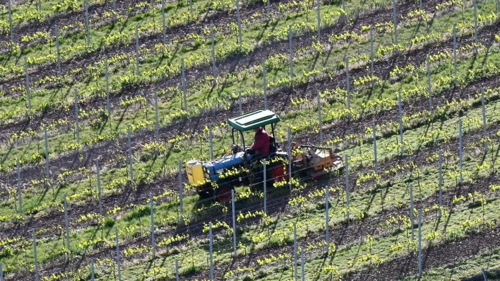 Rund 20.000 Schaden hat ein Landwirt in Tauberzell nach einem Brand in seinem Weinberg zu verkraften. (Symbolbild: Bernd Weißbrod/dpa)