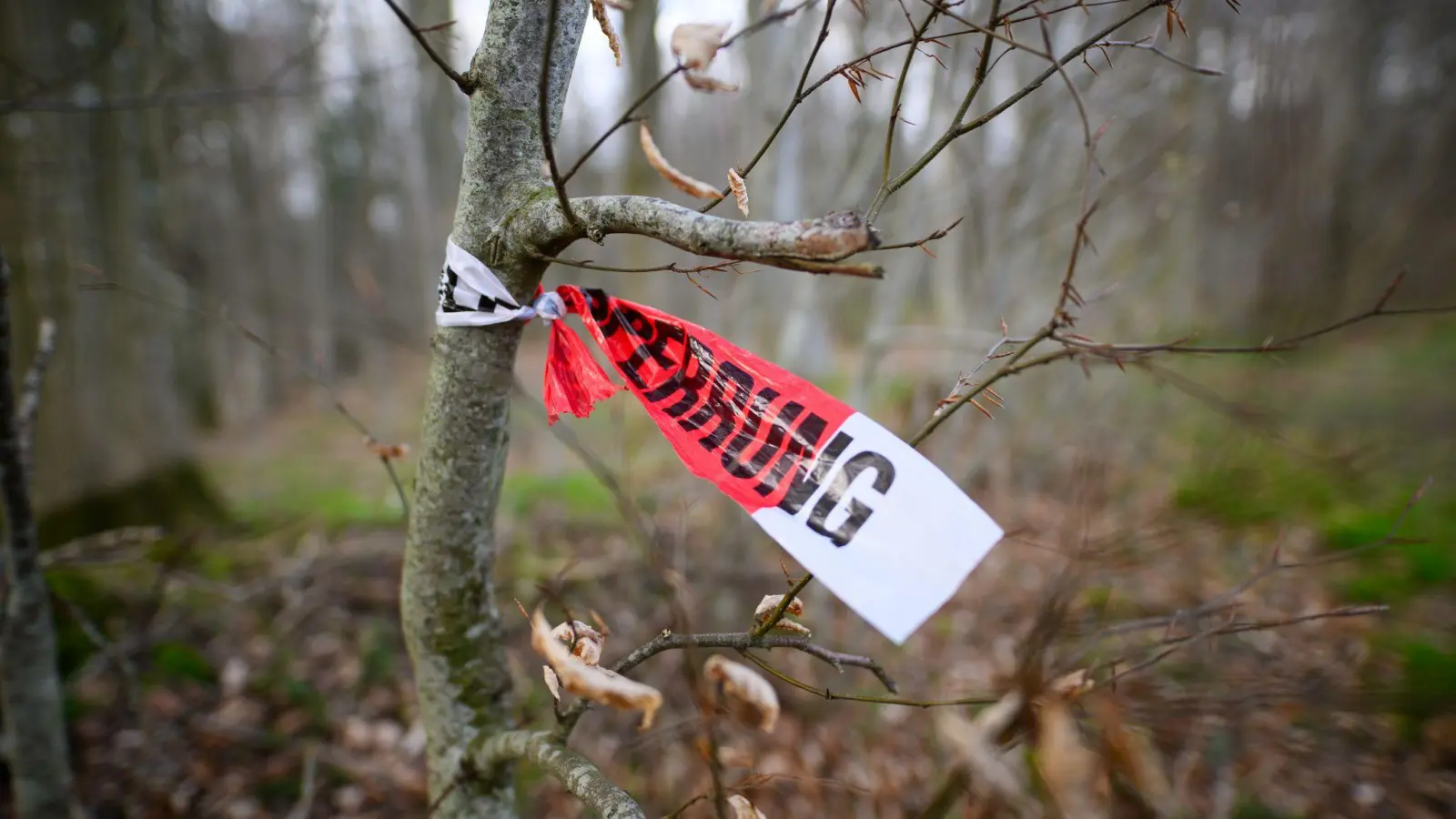 Reste einer Polizeiabsperrung sind in dem betroffenen Waldstück zu sehen. (Foto: Daniel Reinhardt/dpa)