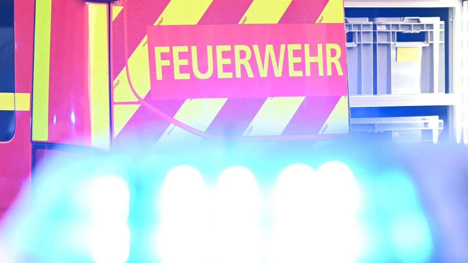 Bellende Hunde weckten ein benachbartes Ehepaar auf. Sie bemerkten den Brand und retteten die Bewohnerin. (Symbolbild) (Foto: Bernd Weißbrod/dpa)