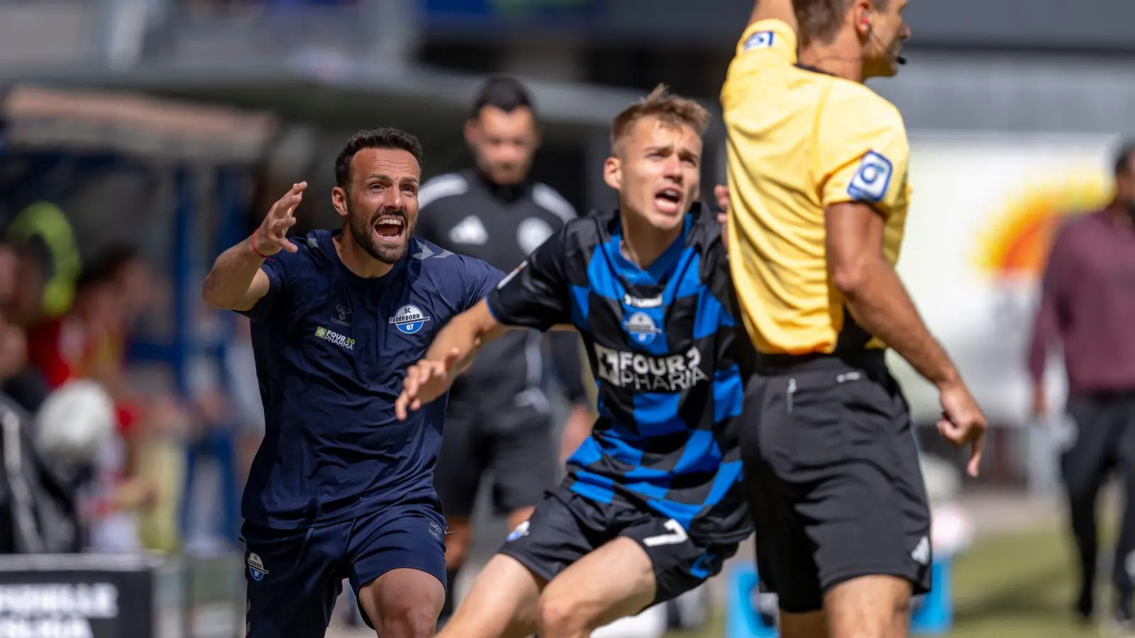 Sowohl Trainer Paderborns Ralf Kettemann als auch Filip Bilbija verpassen wohl die Partie gegen Nürnberg. (Archivbild)  (Foto: David Inderlied/dpa)