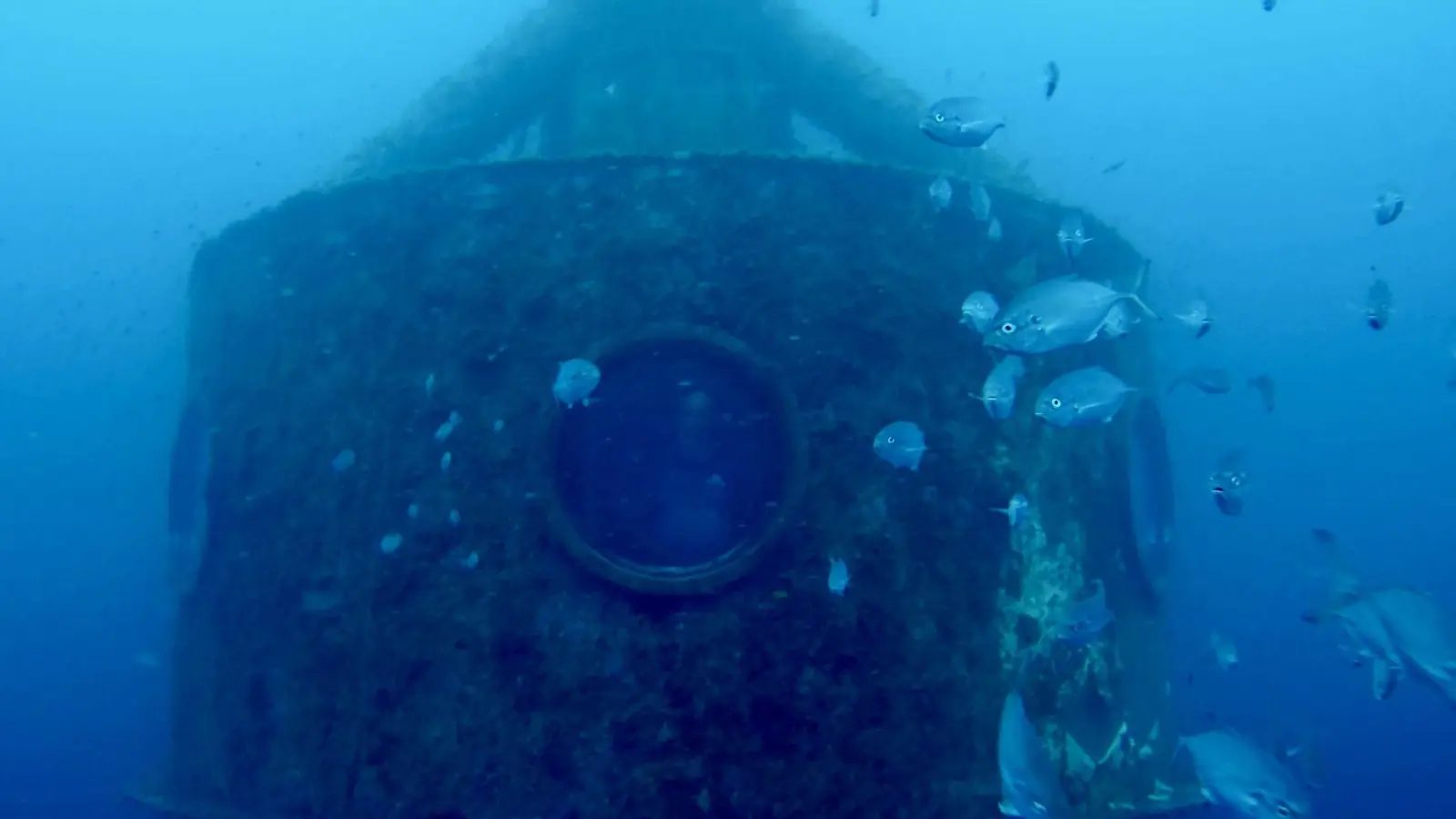 Koch drehte auch Videos von Fischen aus seiner Kapsel. (Foto: ---/Ocean Builders/dpa)