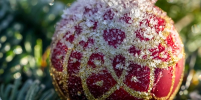 Tannenbaum im Advent. (Foto: Pixabay)