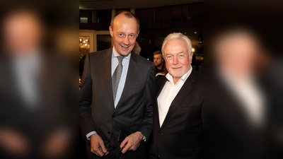 Lange ist's her: Friedrich Merz und Wolfgang Kubicki Seite an Seite. (Archivbild) (Foto: Christian Charisius/dpa)