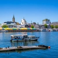 Schönes Ruheplätzchen im Wasser: Seelöwen haben es sich auf einem Steg im Valdivia-Fluss im Stadtzentrum von Valdivia bequem gemacht. (Foto: Oliver Gerhard/dpa-tmn)