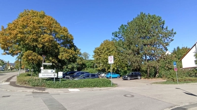 Die Parkplätze werden von Auswärtigen genutzt, das stört laut Dr. Benno Bulitta die Anwohner. Er hat einen Antrag auf die Installation von Bewohnerparkplätzen gestellt.  (Foto: Alexander Rausch)
