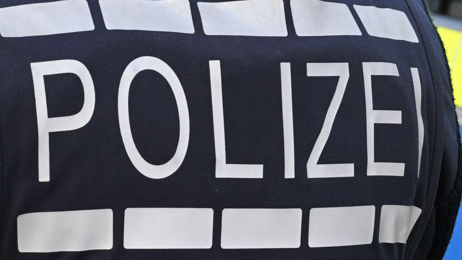 Laut Polizei gibt es Hinweise, dass das Feuer vorsätzlich gelegt worden ist. (Symbolbild) (Foto: Bernd Weißbrod/dpa)