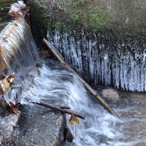 Eiskalte Kunstwerke ...- gesehen in Neustadt (Foto: Rainer Weisbach)