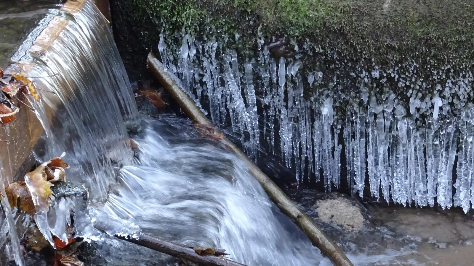 Eiskalte Kunstwerke ...- gesehen in Neustadt (Foto: Rainer Weisbach)