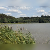 Der Dennenloher See im südlichen Landkreis Ansbach bietet für Touristen und Ausflügler, die gern in der Natur aktiv sind, eine Fülle an Möglichkeiten.  (Foto: Manfred Blendinger)