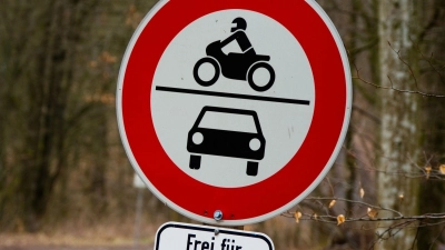 Um ins Tal zu gelangen, nutzt der Mann eine Forststraße. (Symbolbild) (Foto: Nicolas Armer/dpa)