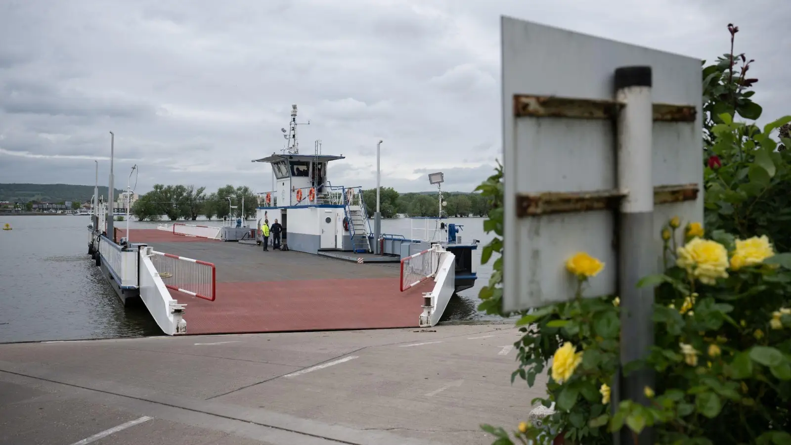 Die Fähre „Horst“, die für Forschungszwecke mit Assistenzsystemen ausgerüstet ist, verkehrt zwischen Ingelheim und dem Rheingau. (Foto: Sebastian Gollnow/dpa)